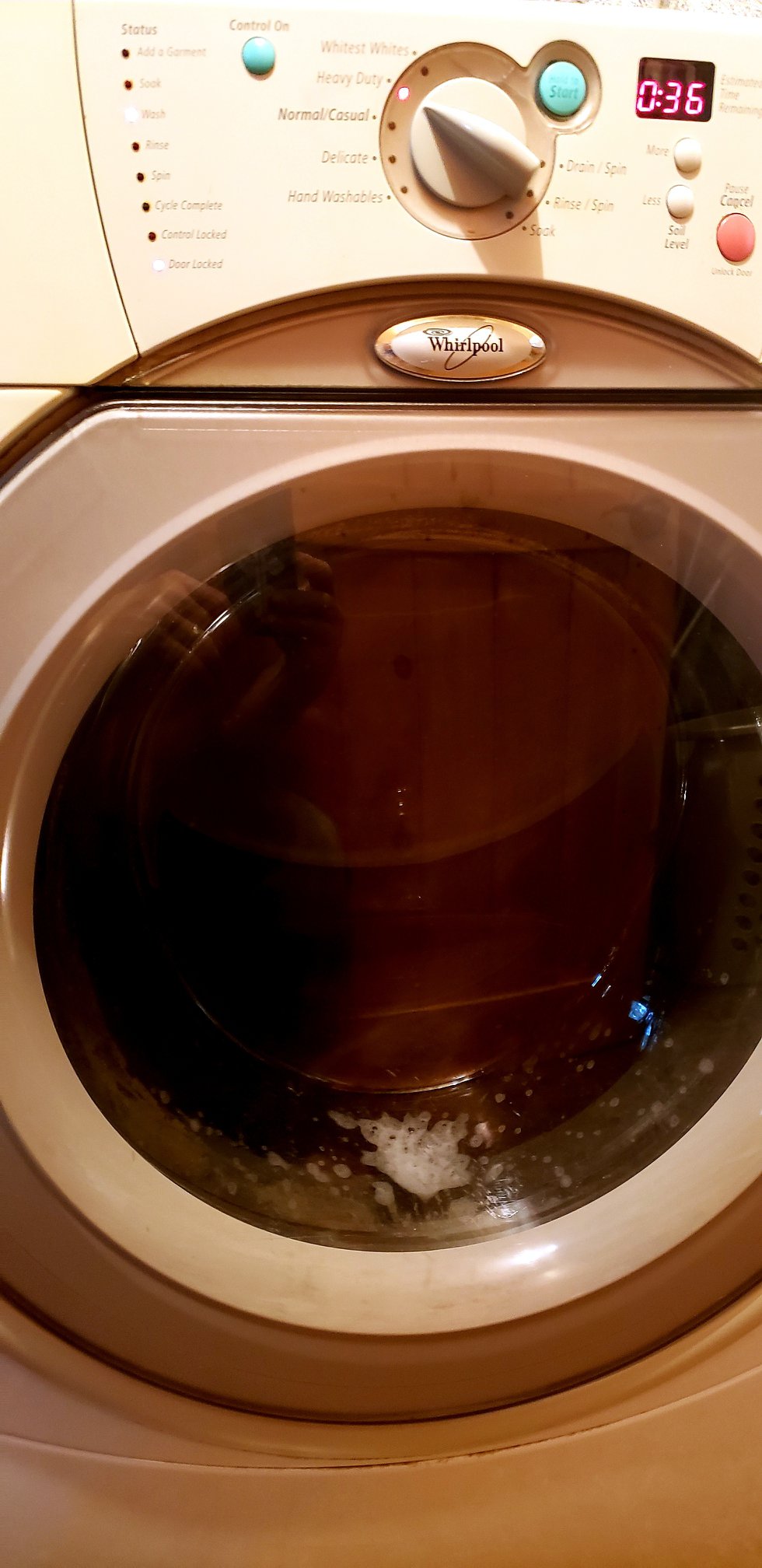 Have you ever watched your clothes through the glass door of your wash machine?