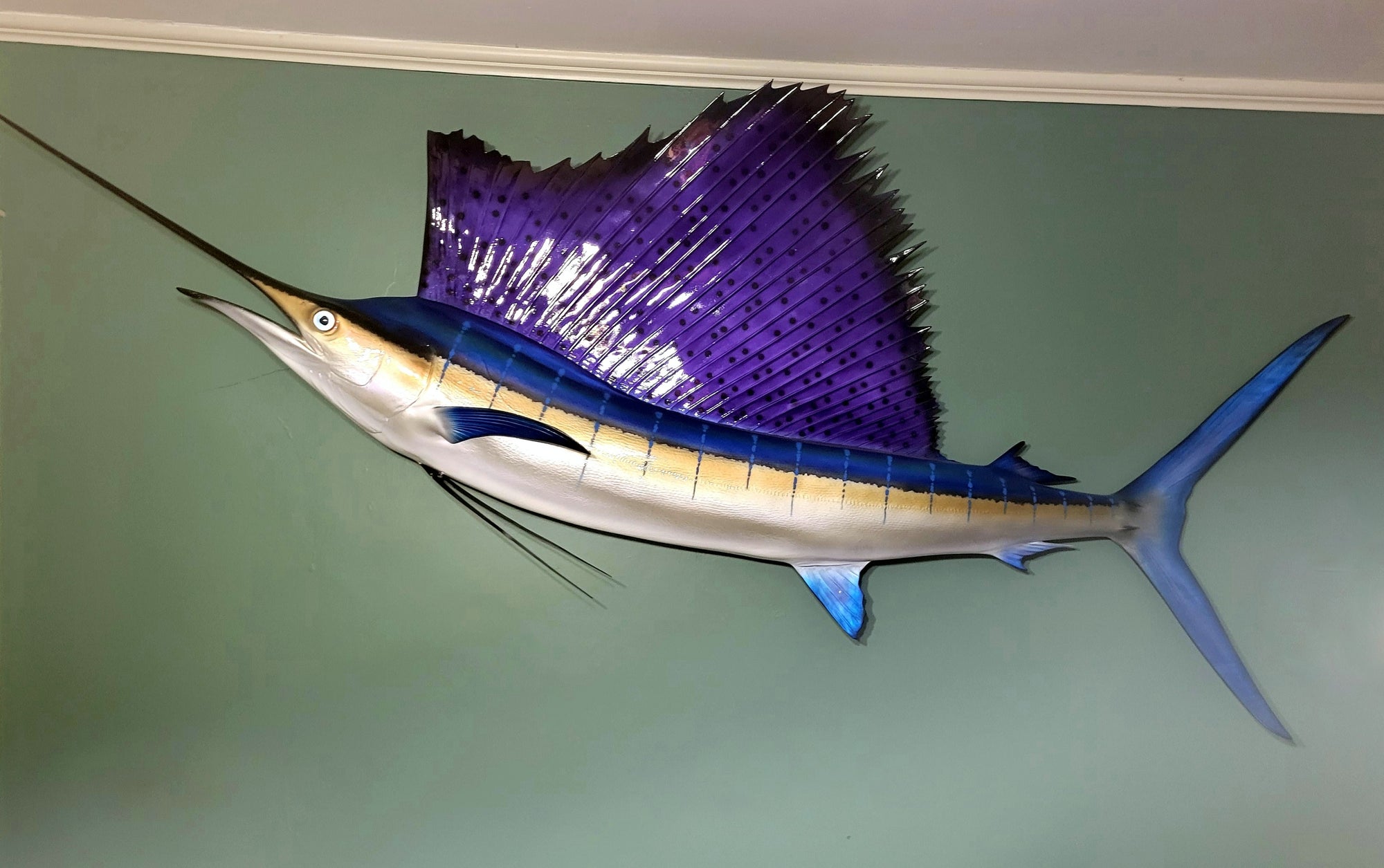 My Wife's Big Fish