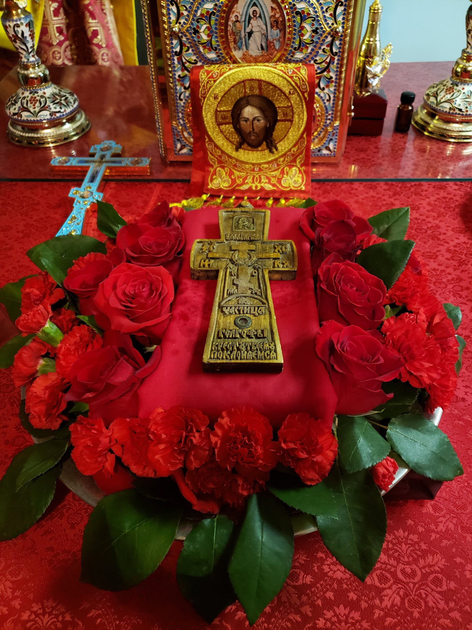 Our Creator loves His creation