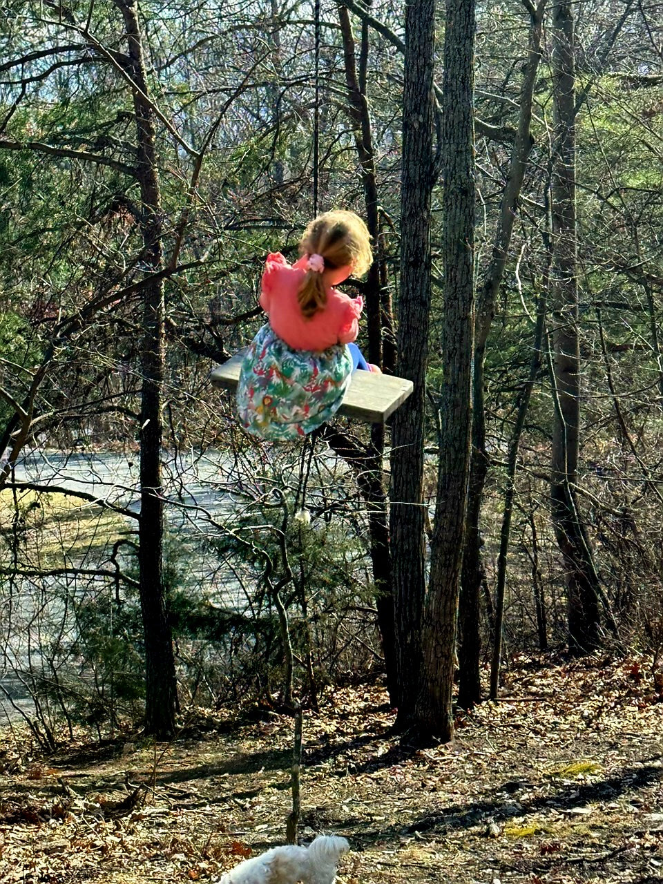 Swinging Freely