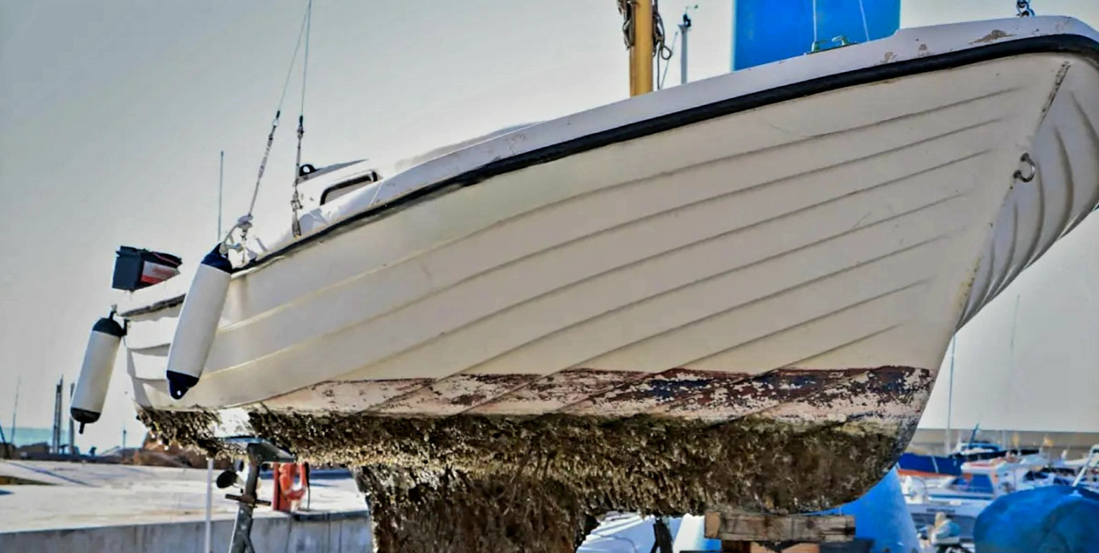 Living Amongst the Shadow of Death