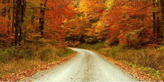 Repentance, the season of Great Lent