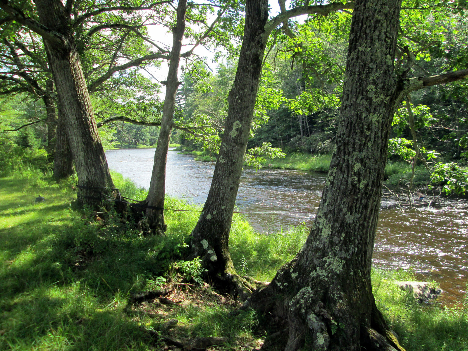 Floaters, Sinkers and Paddlers